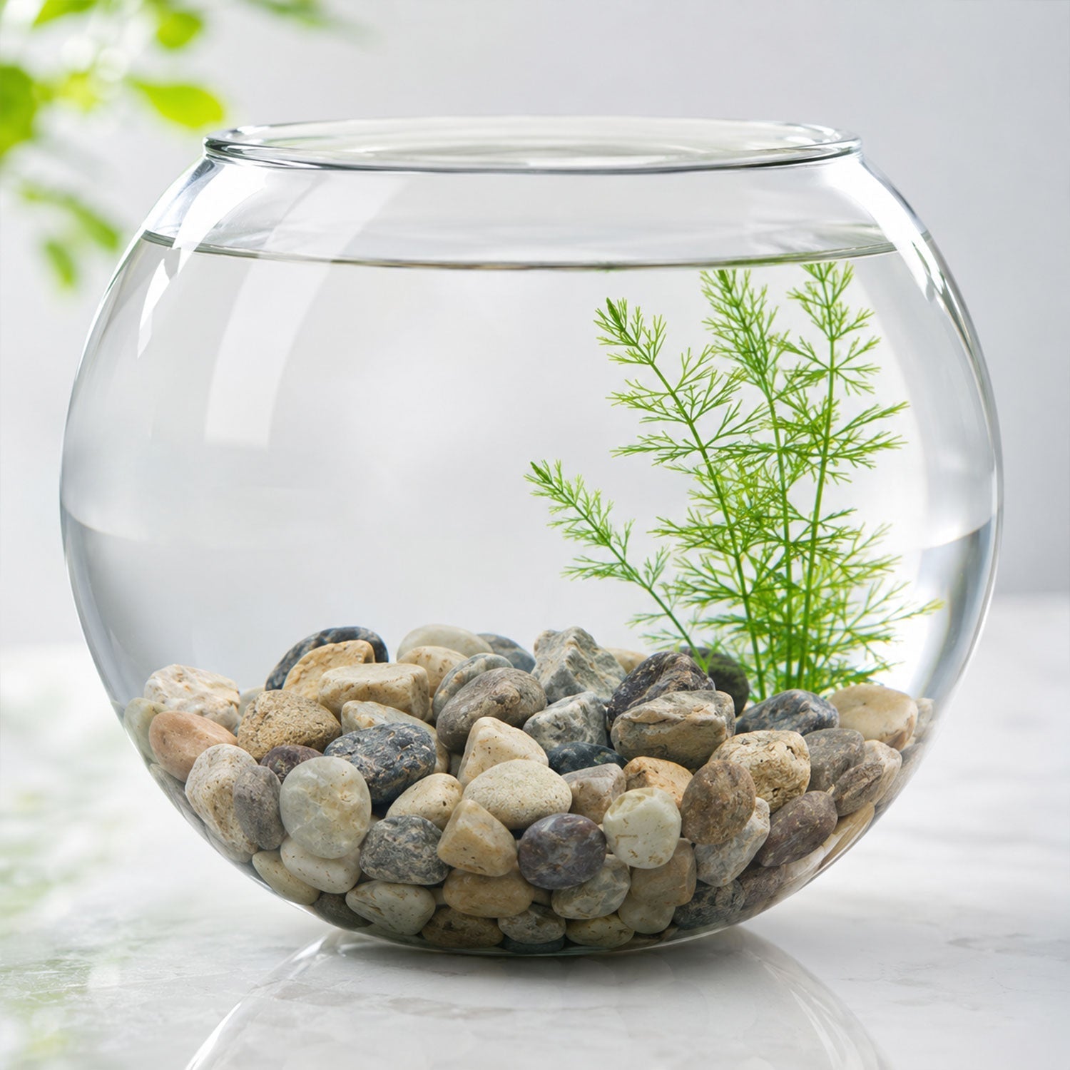 Natural River Pebbles Stones For Aquarium Vase Planter And Garden Decor (1 Set)