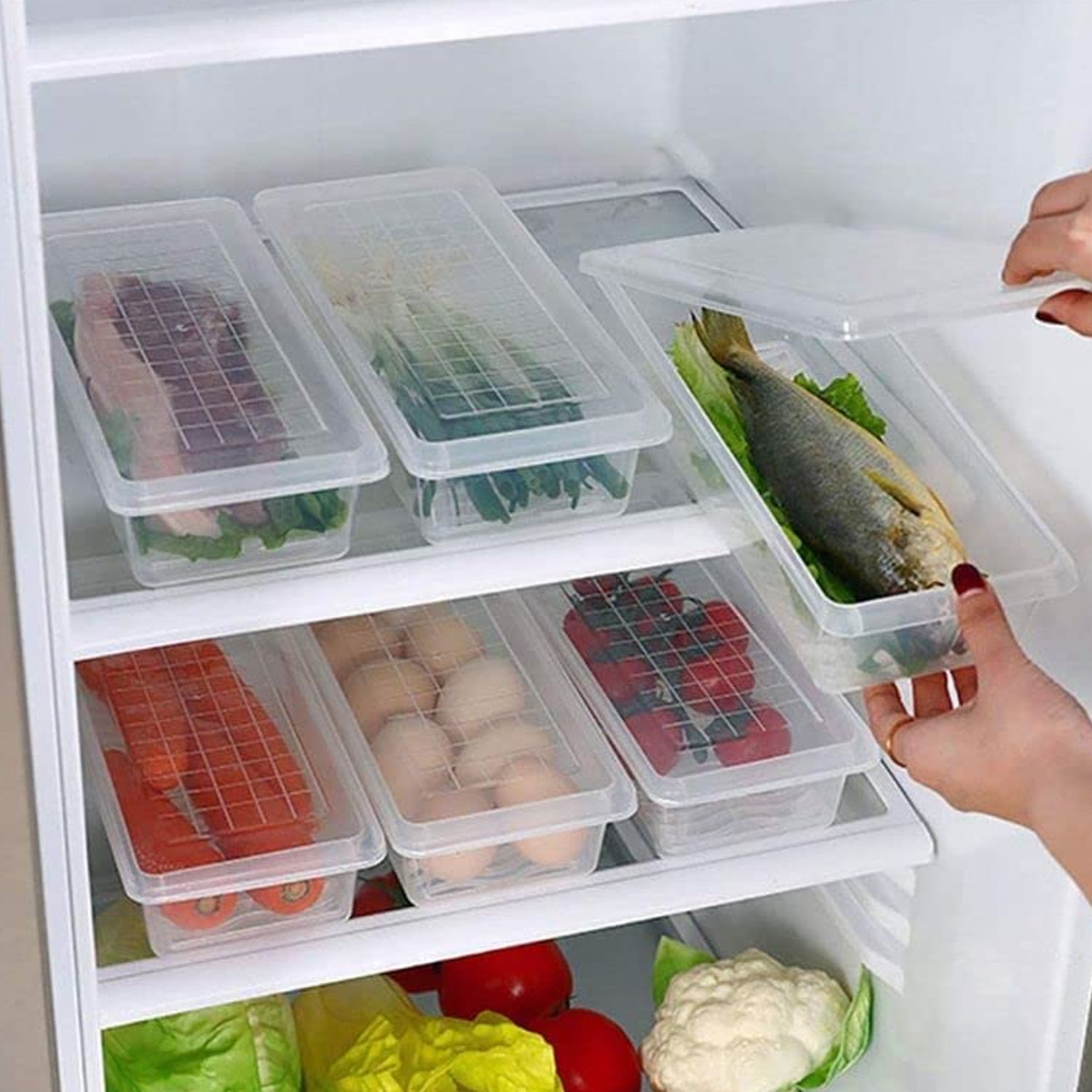 Vegetables Fruits Freezer Storage Container (Pack Of 6pc 1500ml)