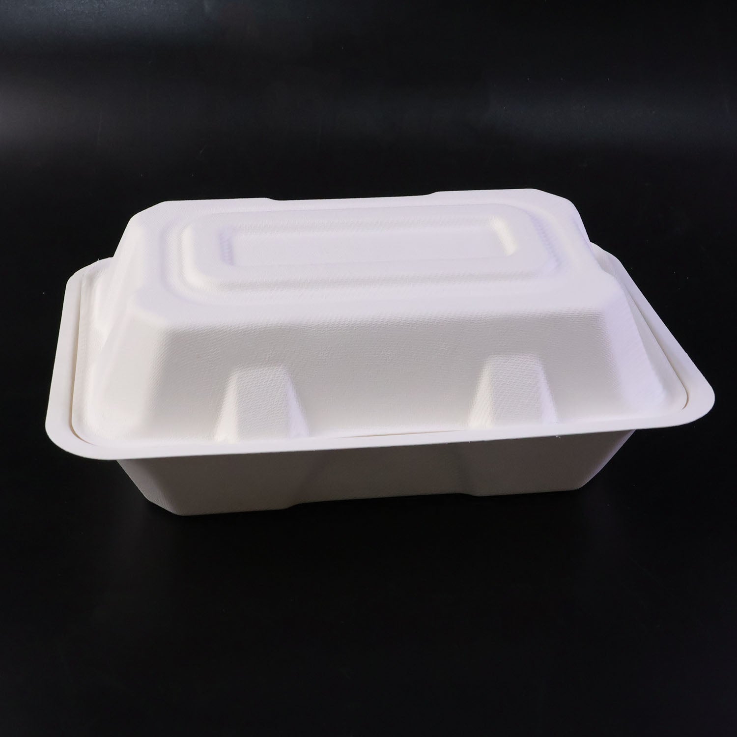 Vegnar Premium Bagasse Clamshell Food Box (10 Pc 9x6 Inch)