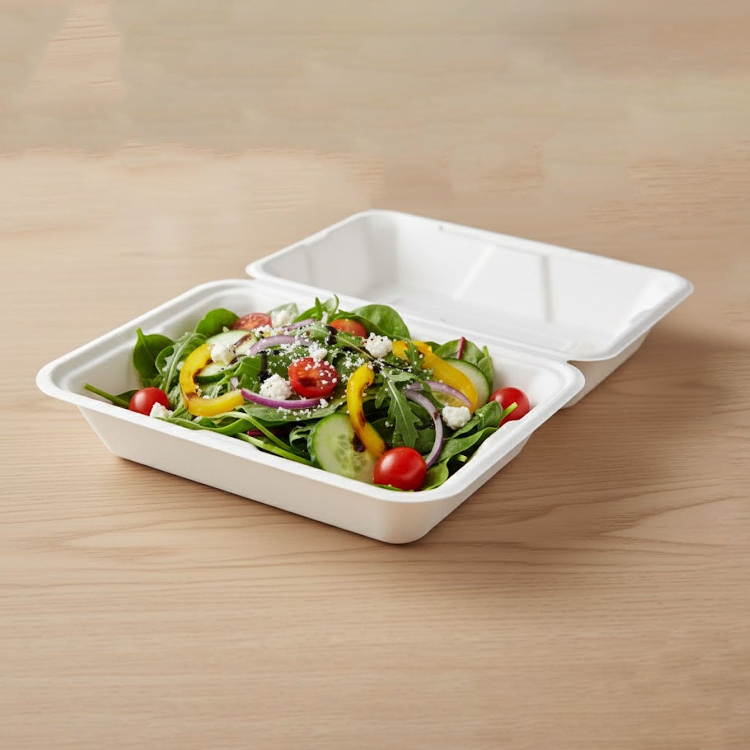 Vegnar Premium Bagasse Clamshell Food Box (10 Pc 9x6 Inch)